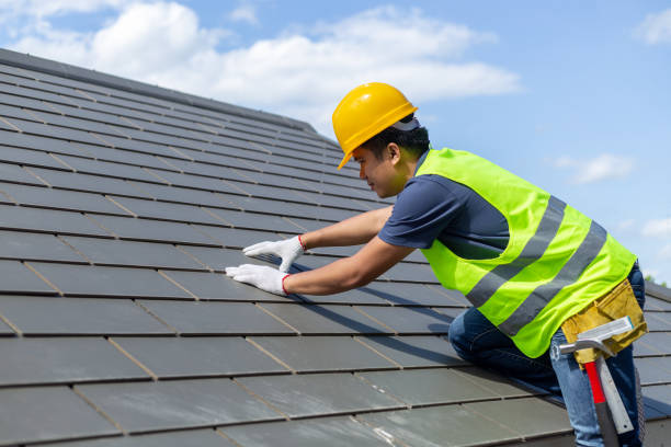 Best Roof Moss and Algae Removal  in Maryville, MO
