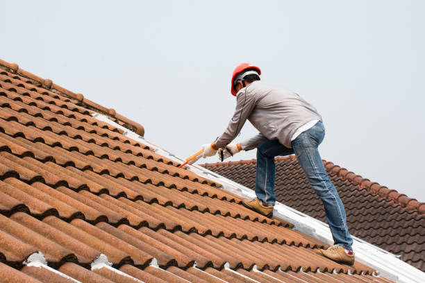 Best Asphalt Shingles Roofing  in Maryville, MO
